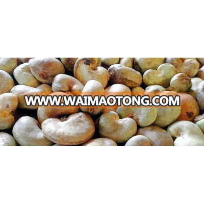 West Africa Quality Raw Cashew Nuts