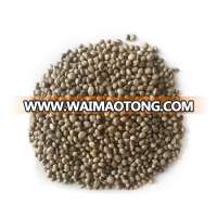 Factory Supplier Hemp Seeds Wholesale / Best quality 99% Pure raw HEMP SEEDS for bird