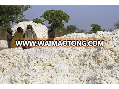 COTTON SEEDS West Africa quality and low price