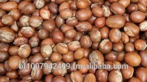 Burkina Faso Quality Shea Nuts