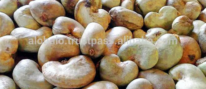 West Africa Quality Raw Cashew Nuts