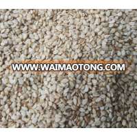 High Quality Whitish Sesame Seeds